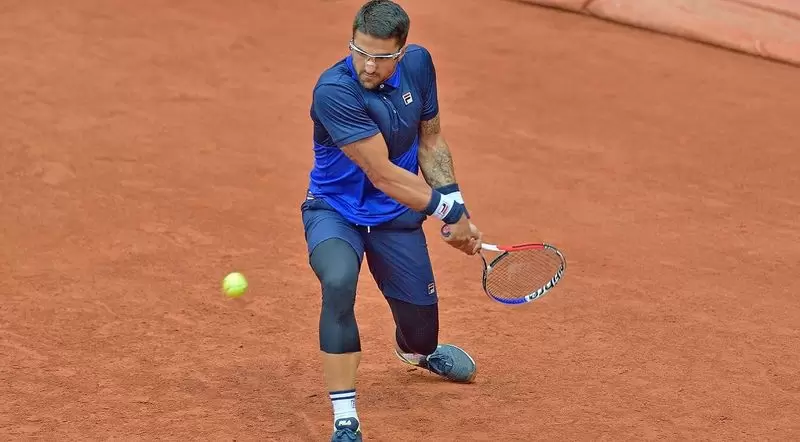 Типсаревич - Димитров. Прогноз на матч ATP Ролан Гаррос (26.05.2019) Типсаревич - Димитров. Прогноз на матч ATP Ролан Гаррос (26.05.2019)