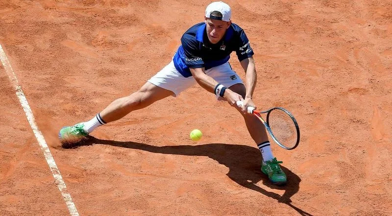 Фучович - Шварцман. Прогноз на матч ATP Ролан Гаррос (26.05.2019)