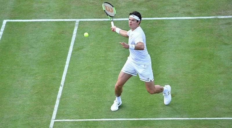 Фучович - Раонич. Прогноз на матч ATP Штутгарт (14.06.2019) Фучович - Раонич. Прогноз на матч ATP Штутгарт (14.06.2019)