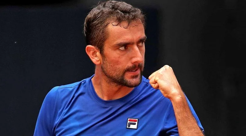 Чилич - Гарин. Прогноз на матч ATP Лондон (17.06.2019) Чилич - Гарин. Прогноз на матч ATP Лондон (17.06.2019)
