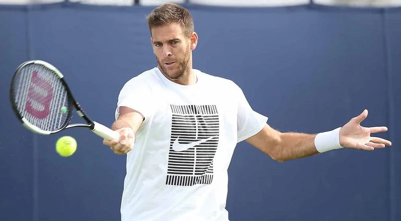 Дель Потро - Шаповалов. Прогноз на матч ATP Лондон (18.06.2019) Дель Потро - Шаповалов. Прогноз на матч ATP Лондон (18.06.2019)