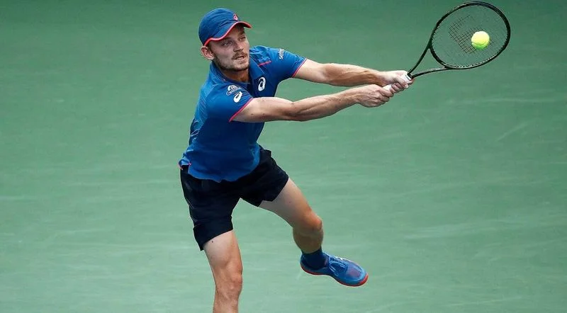 Пелья - Гоффин. Прогноз на матч ATP Халле (18.06.2019) Пелья - Гоффин. Прогноз на матч ATP Халле (18.06.2019)