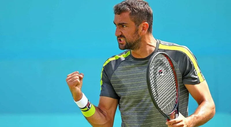 Чилич - Шварцман. Прогноз на матч ATP Лондон (19.06.2019) Чилич - Шварцман. Прогноз на матч ATP Лондон (19.06.2019)