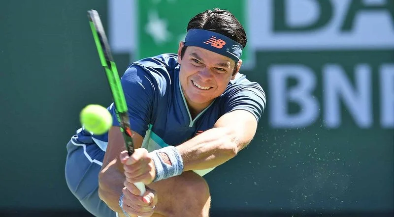 Бедене - Раонич. Прогноз на матч ATP Лондон (20.06.2019) Бедене - Раонич. Прогноз на матч ATP Лондон (20.06.2019)