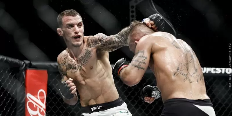 Ренато Карнейро - Чен Сон Джон. Прогноз (кф. 2,69) на UFC (23.06.2019)