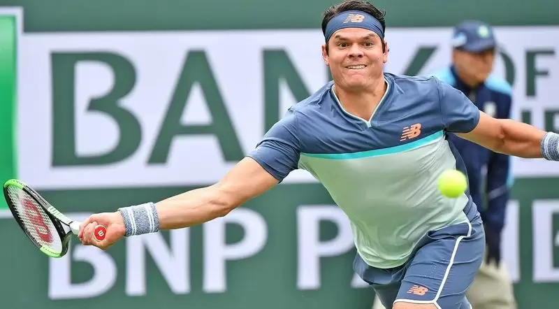 Лопес - Раонич. Прогноз на матч ATP Лондон (21.06.2019) Лопес - Раонич. Прогноз на матч ATP Лондон (21.06.2019)