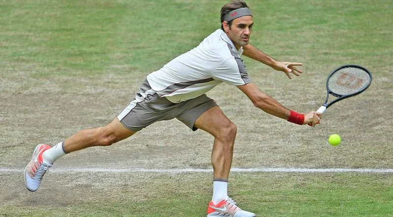 Федерер - Гоффин. Прогноз на матч ATP Халле (23.06.2019) Федерер - Гоффин. Прогноз на матч ATP Халле (23.06.2019)