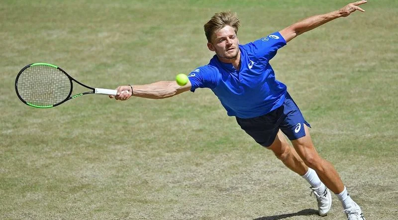 Жереми Шарди - Давид Гоффин. Прогноз на матч ATP Уимблдон (03.07.2019) Жереми Шарди - Давид Гоффин. Прогноз на матч ATP Уимблдон (03.07.2019)