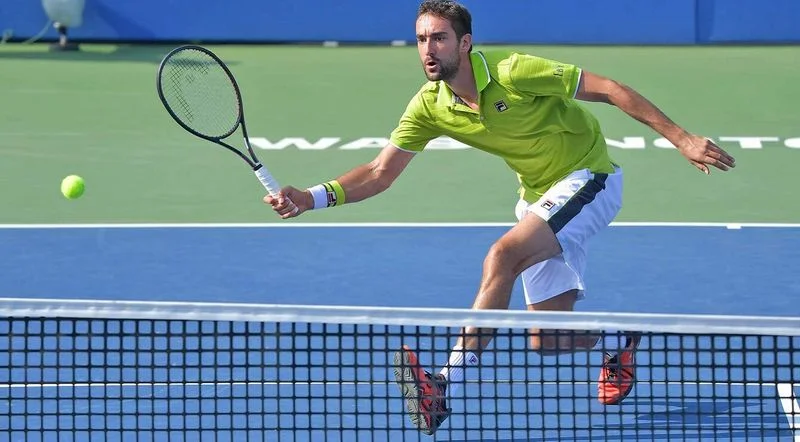 Чилич — Клан. Прогноз на матч ATP Монреаль (6 августа 2019 года)