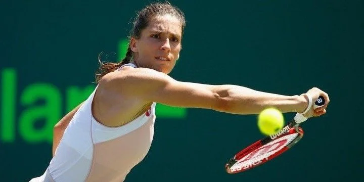 Чжан Шуай – Андреа Петкович. Прогноз на матч WTA Нью-Йорк (19 августа 2019 года)