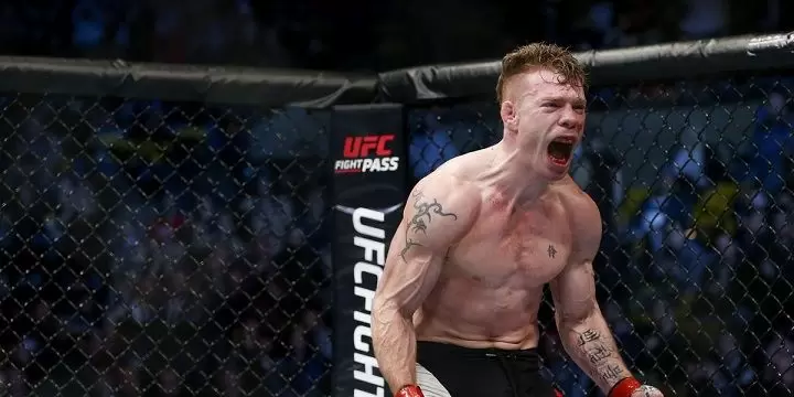 Пол Фелдер — Эдсон Барбоза. Прогноз на UFC (7 сентября 2019 года) Пол Фелдер — Эдсон Барбоза. Прогноз на UFC (7 сентября 2019 года)