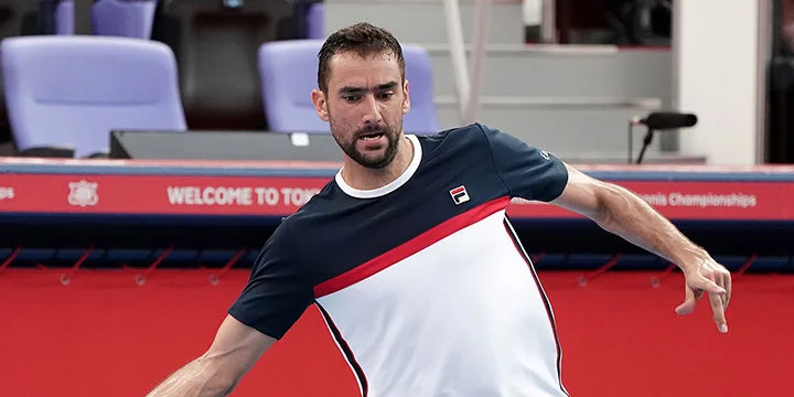 Гоффин - Чилич. Прогноз на матч ATP Базель (23 октября 2019 года)