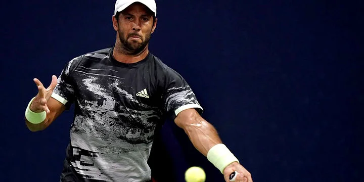 Тим - Вердаско. Прогноз на матч ATP Вена (24 октября 2019 года) Тим - Вердаско. Прогноз на матч ATP Вена (24 октября 2019 года)