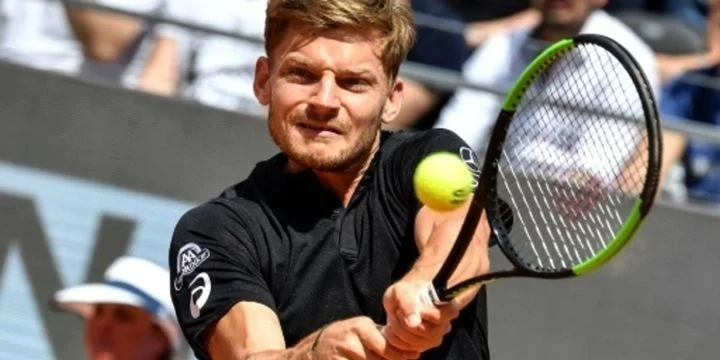 Гоффин - Димитров. Прогноз на матч ATP Париж (30 октября 2019 года)
