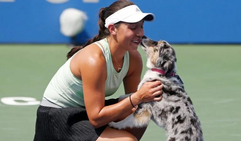 Джессика Пегула – Кристина Младенович. Прогноз на матч WTA Австралиан Оупен (13 февраля 2021 года) Джессика Пегула – Кристина Младенович. Прогноз на матч WTA Австралиан Оупен (13 февраля 2021 года)