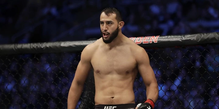 Доминик Рейес — Иржи Прохазка. Прогноз на UFC (2 мая 2021 года) Доминик Рейес — Иржи Прохазка. Прогноз на UFC (2 мая 2021 года)